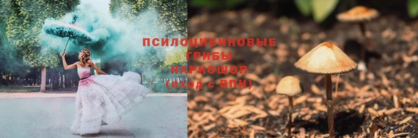 спиды Алзамай