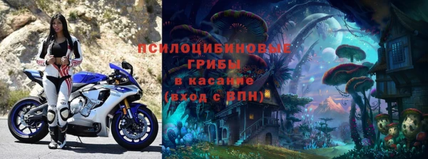 спиды Алзамай