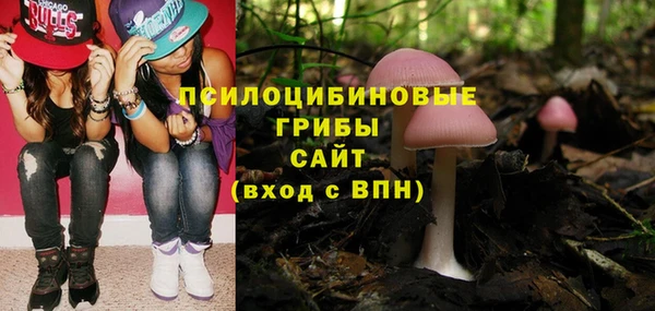 а пвп мука Абаза