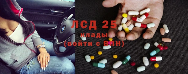 PSILOCYBIN Абдулино
